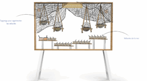 Animation culinaire thème de la mer