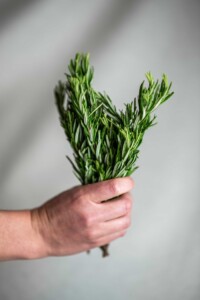 Herbes aromatiques