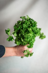 herbes aromatiques